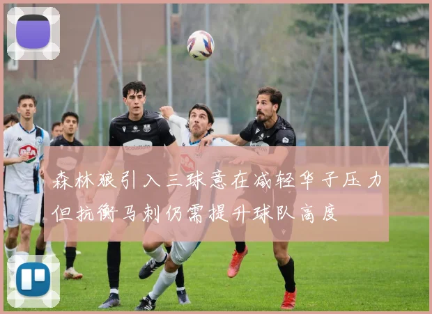 森林狼引入三球意在减轻华子压力但抗衡马刺仍需提升球队高度