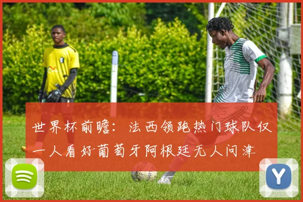 世界杯前瞻：法西领跑热门球队仅一人看好葡萄牙阿根廷无人问津