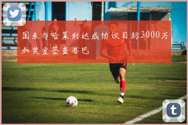 国米与哈莱利达成协议目标3000万加奖金签查洛巴